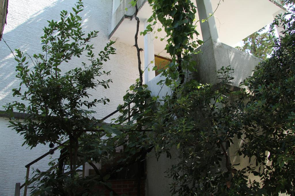 Novalja Guesthouse Economy Rooms מראה חיצוני תמונה